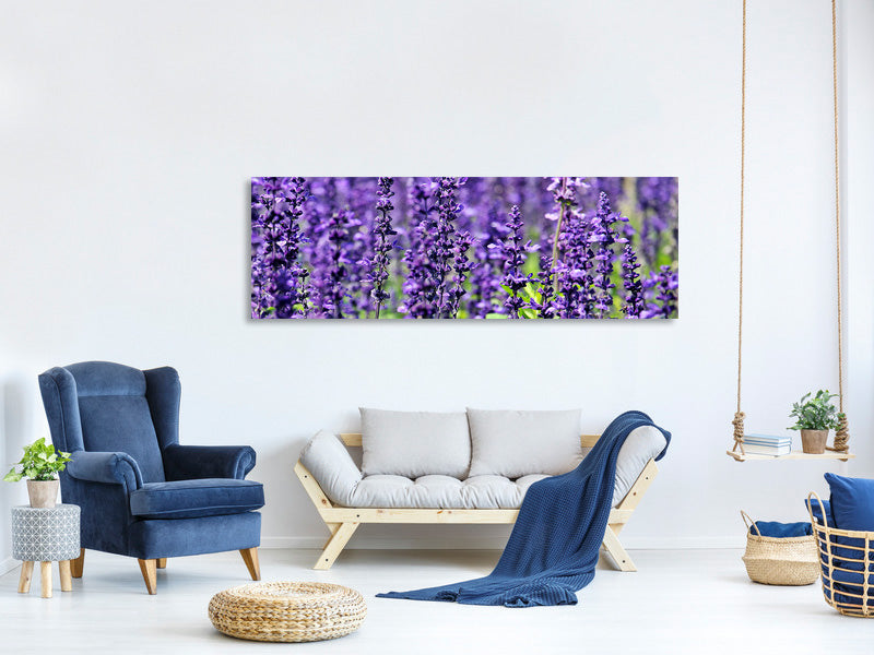 3-piece-canvas-print-xl-lavender