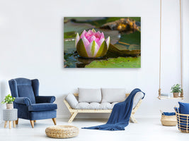 3-piece-canvas-print-xl-water-lily-in-pink
