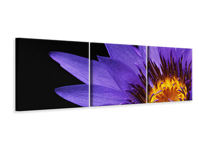 canvas-print-xl-water-lily-in-purple