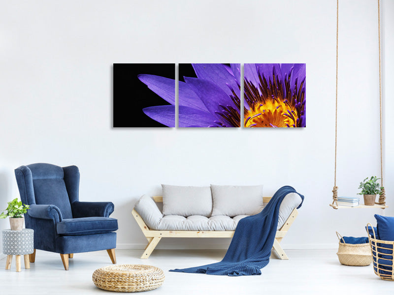 canvas-print-xl-water-lily-in-purple