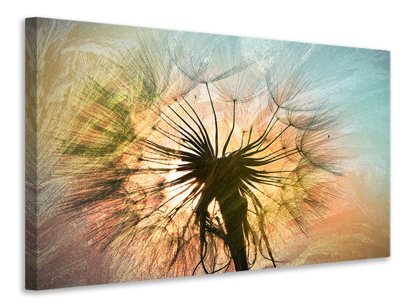 4-piece-canvas-print-xxl-dandelion