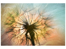 5-piece-canvas-print-xxl-dandelion
