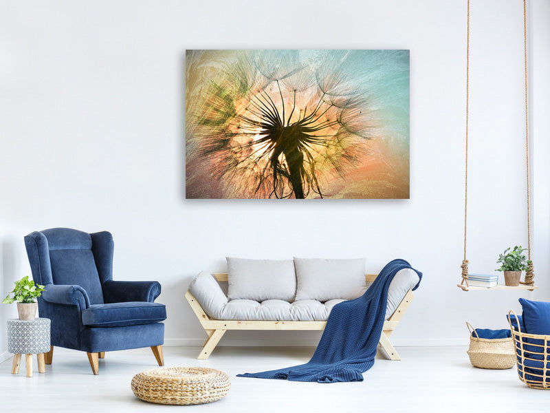 panoramic-canvas-print-xxl-dandelion