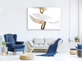 panoramic-3-piece-canvas-print-xxl-orchid-flower
