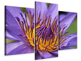 4-piece-canvas-print-xxl-water-lily-in-purple