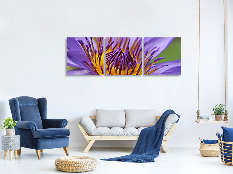 canvas-print-xxl-water-lily-in-purple