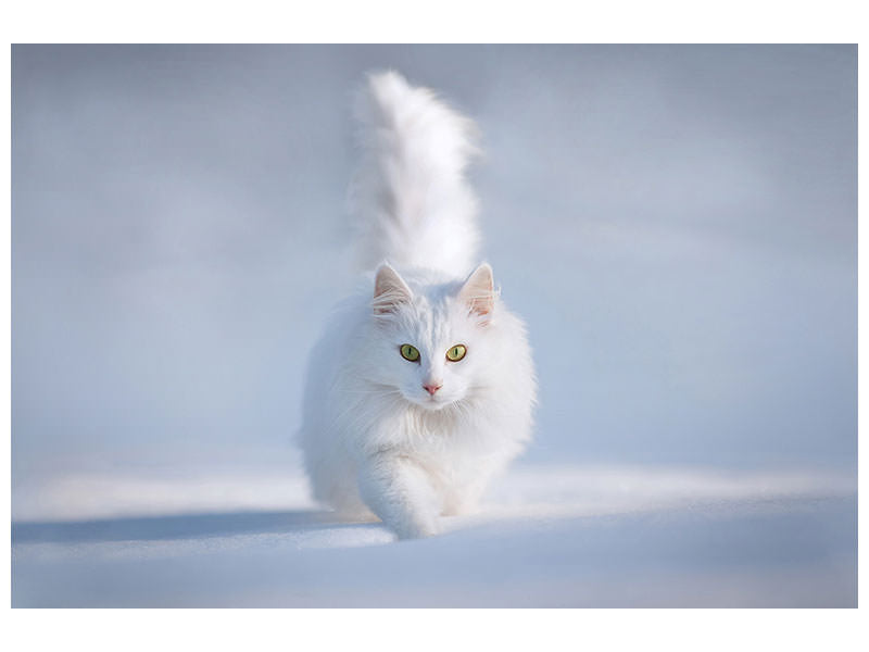 5-piece-canvas-print-yellow-eyes