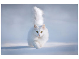 4-piece-canvas-print-yellow-eyes