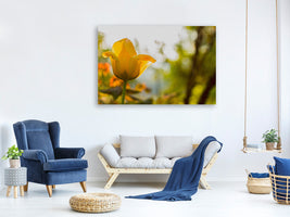 3-piece-canvas-print-yellow-tulip-in-the-nature