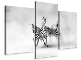 canvas-print-zebras