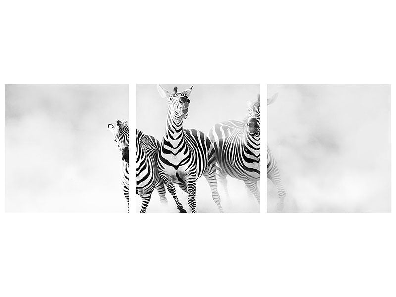 modern-3-piece-canvas-print-zebras