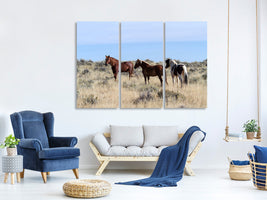 3-piece-canvas-print-3-horses-in-nature