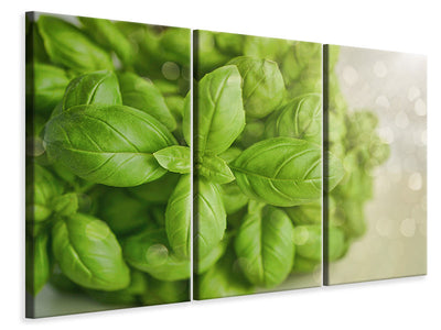 3-piece-canvas-print-a-bouquet-of-basil