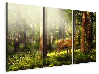 3-piece-canvas-print-attention-deer