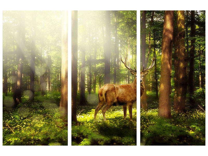 3-piece-canvas-print-attention-deer