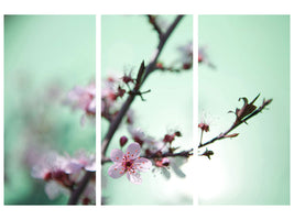 3-piece-canvas-print-beautiful-japanese-cherry-blossom