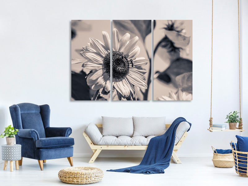 3-piece-canvas-print-bees-on-the-sunflower-sw