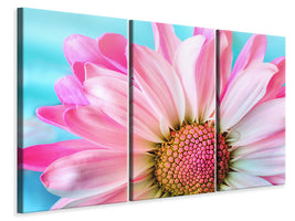 3-piece-canvas-print-colored-flower