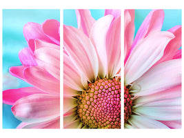 3-piece-canvas-print-colored-flower