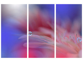 3-piece-canvas-print-colorful-explosion