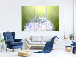 3-piece-canvas-print-dandelion-xl-in-morning-dew