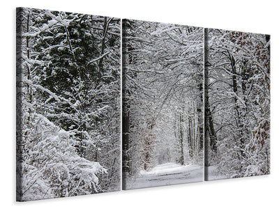 3-piece-canvas-print-enchanted-winter-forest