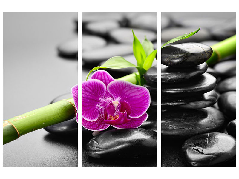 3-piece-canvas-print-feng-shui-orchid