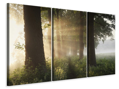3-piece-canvas-print-first-day-of-summer