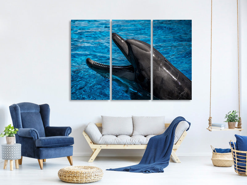 3-piece-canvas-print-friendly-dolphin