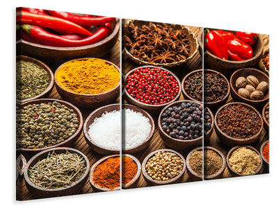 3-piece-canvas-print-hot-spices