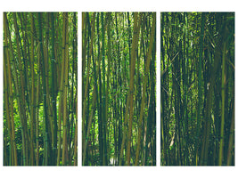 3-piece-canvas-print-in-the-middle-of-the-bamboo