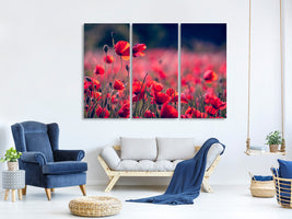 3-piece-canvas-print-in-the-poppy-field