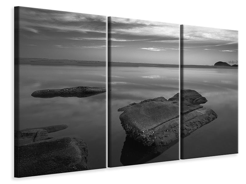 3-piece-canvas-print-itaguara