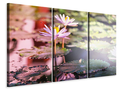 3-piece-canvas-print-lilies-in-pond