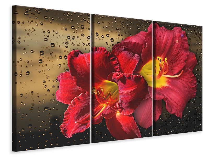 3-piece-canvas-print-lily-flowers-with-water-drops