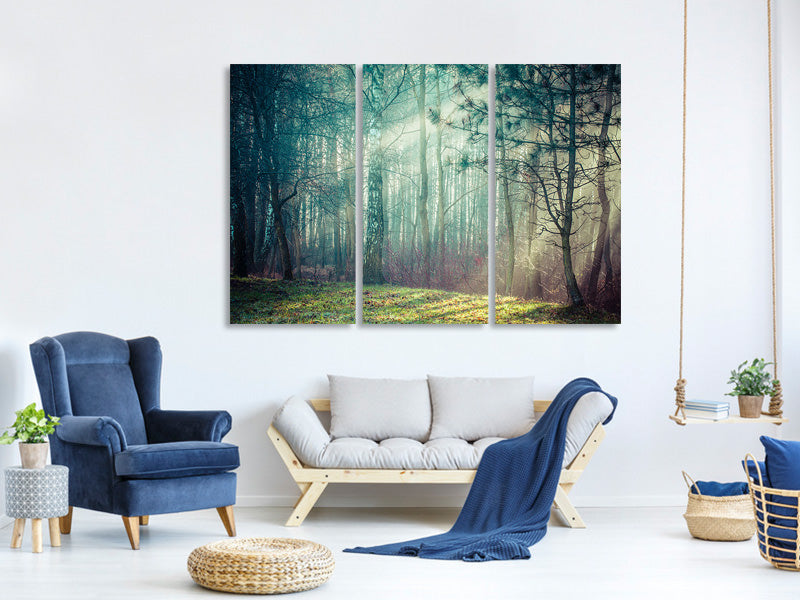 3-piece-canvas-print-pinewood