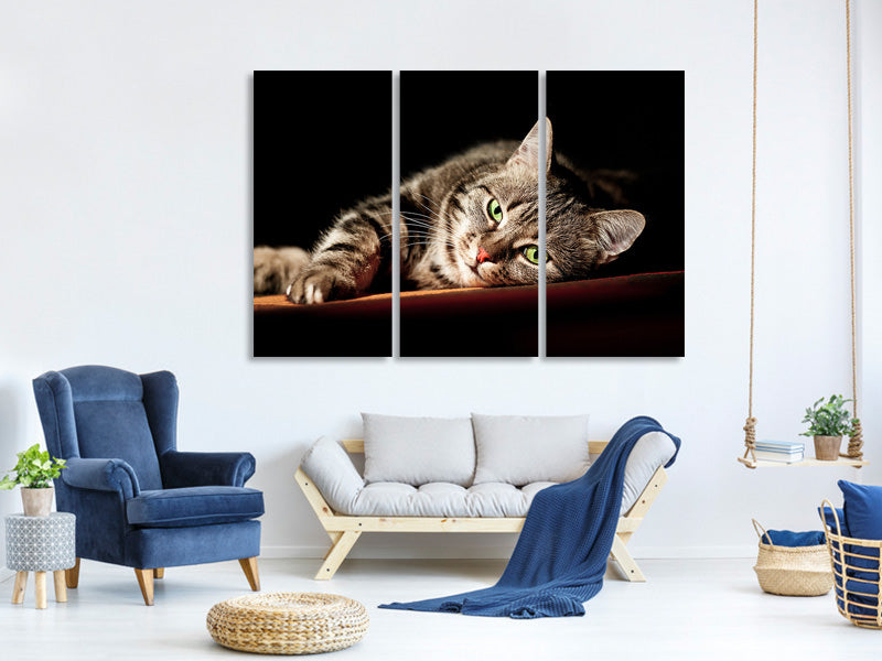 3-piece-canvas-print-relaxed-cat