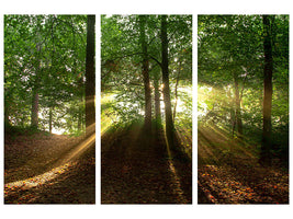 3-piece-canvas-print-sun-in-the-forest