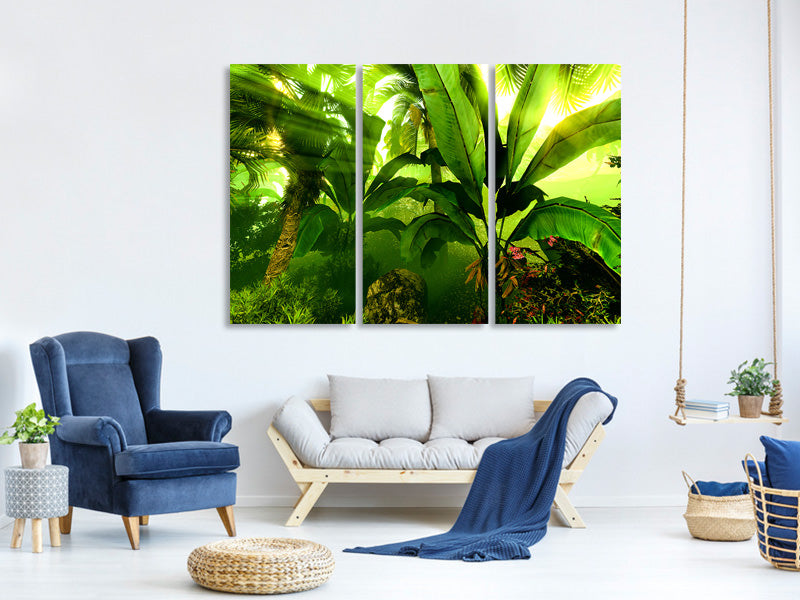 3-piece-canvas-print-sunrise-in-the-rainforest