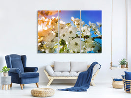 3-piece-canvas-print-the-apple-tree-blossom