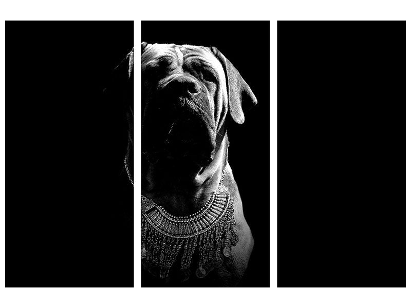 3-piece-canvas-print-the-boerboel-sw