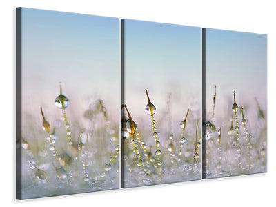 3-piece-canvas-print-the-dew-drops
