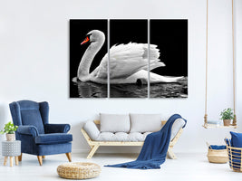 3-piece-canvas-print-the-graceful-swan