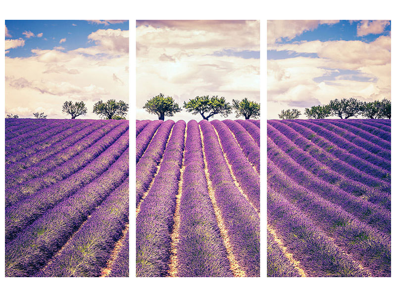 3-piece-canvas-print-the-lavender-field-ii