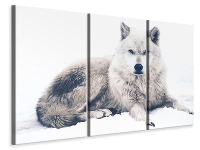 3-piece-canvas-print-the-wolf