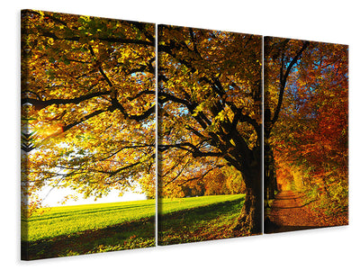 3-piece-canvas-print-trees-in-the-autumn