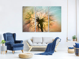 3-piece-canvas-print-xxl-dandelion