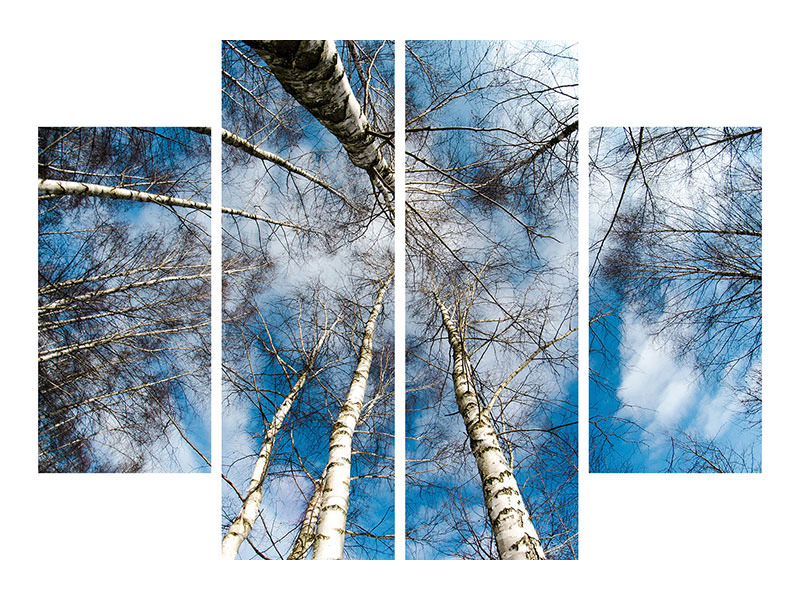 4-piece-canvas-print-birch-crowns