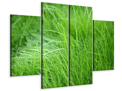 4-piece-canvas-print-blades-of-grass