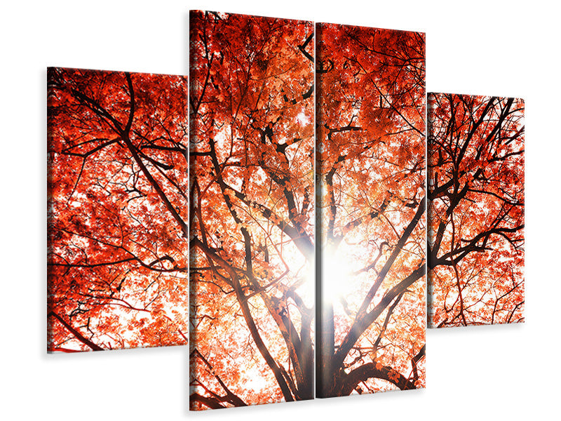 4-piece-canvas-print-light-of-autumn